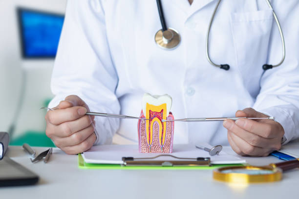 Best 24-Hour Emergency Dentist in New Pek, IN
